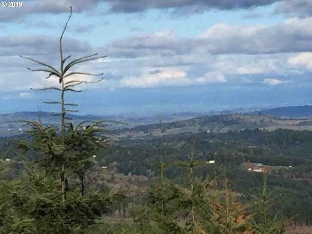 https://bt-photos.global.ssl.fastly.net/portland/orig_boomver_1_591849589-2.jpg