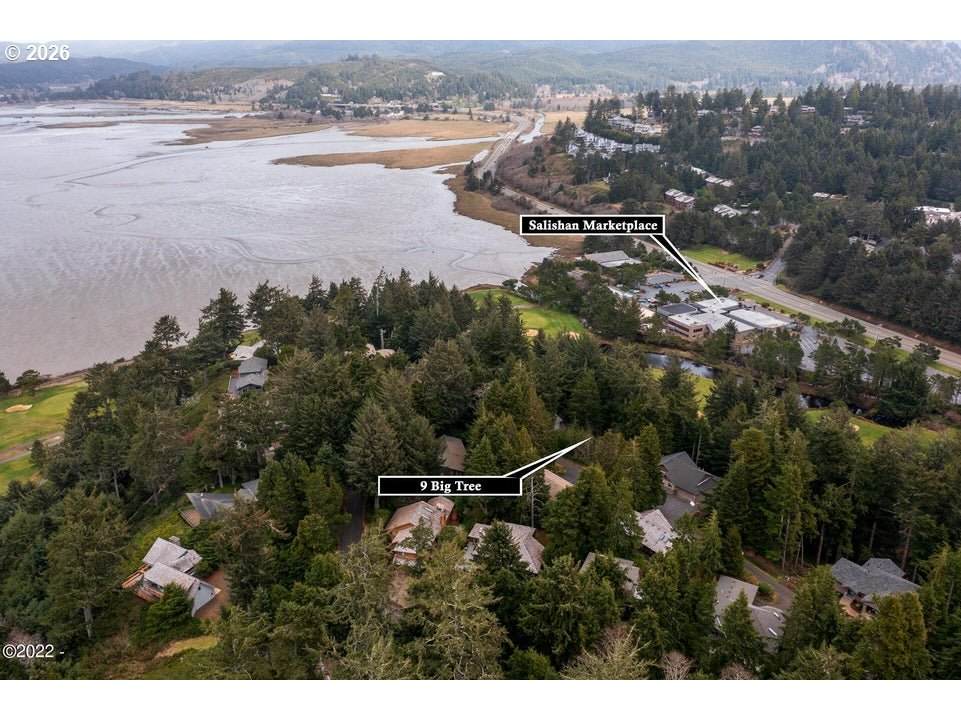 9 Big Tree Rd - Photo 1