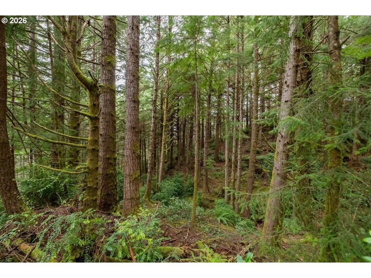 https://bt-photos.global.ssl.fastly.net/portland/orig_boomver_1_607302315-2.jpg