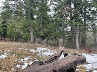 https://bt-photos.global.ssl.fastly.net/portland/orig_boomver_1_609997156-2.jpg