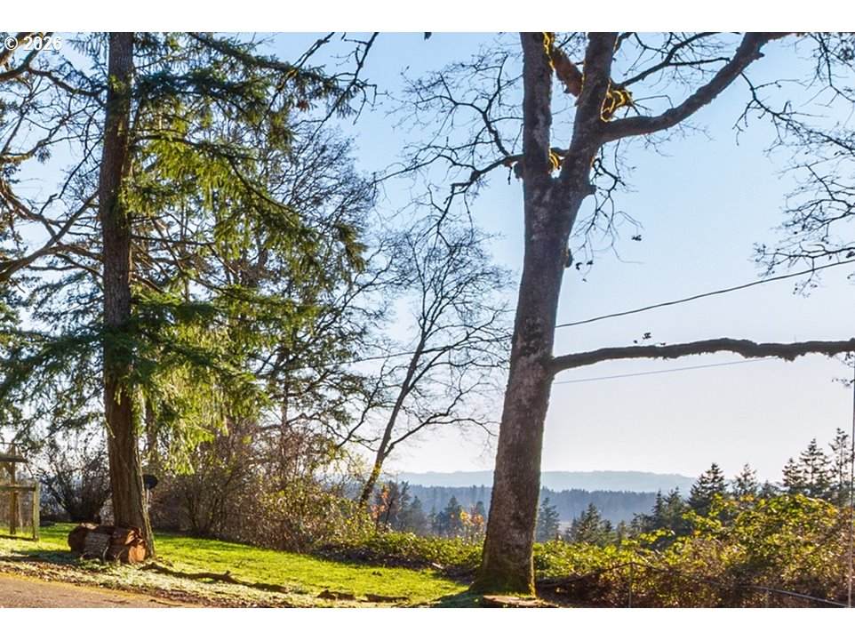 https://bt-photos.global.ssl.fastly.net/portland/orig_boomver_1_612224162-2.jpg