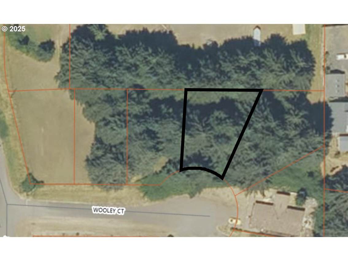 1039 Wooley Ct - Photo 1