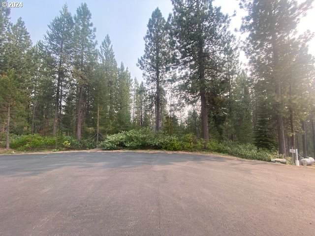  Snow Flake Ct - Photo 1