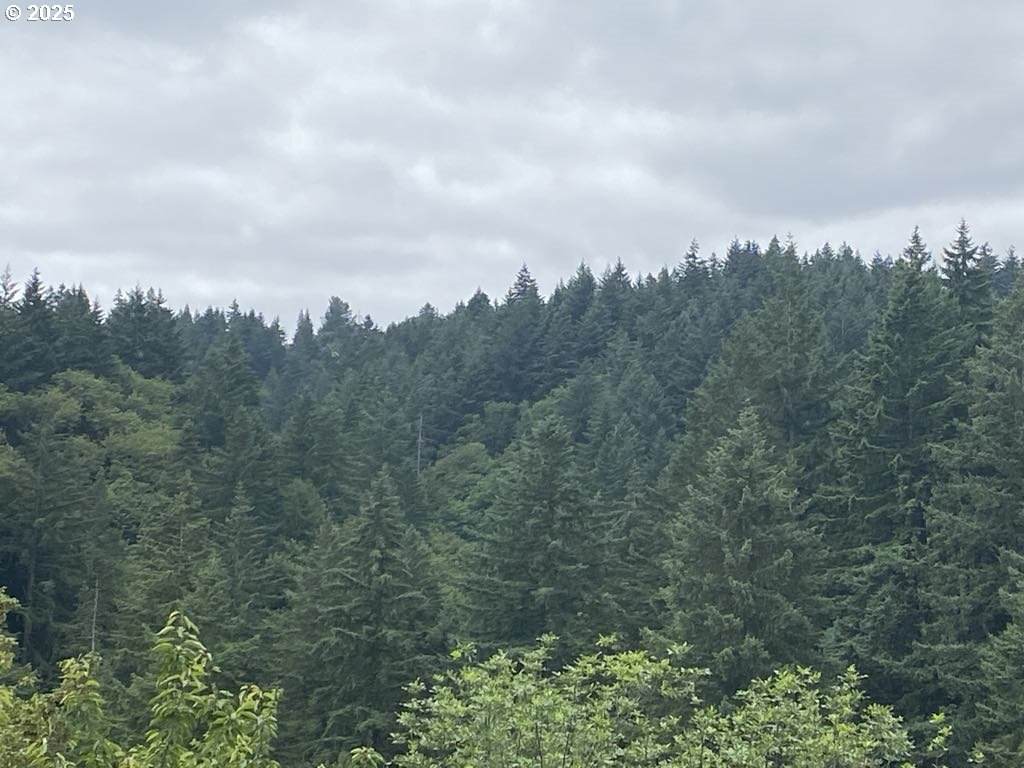 https://bt-photos.global.ssl.fastly.net/portland/orig_boomver_1_647182886-2.jpg