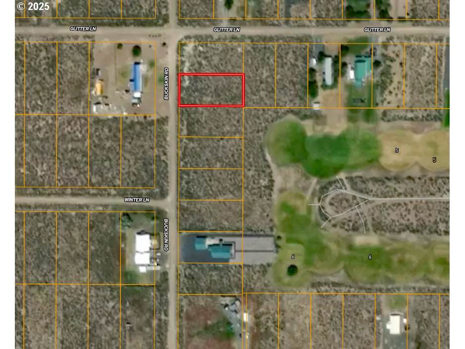  Buckskin Road - Photo 1