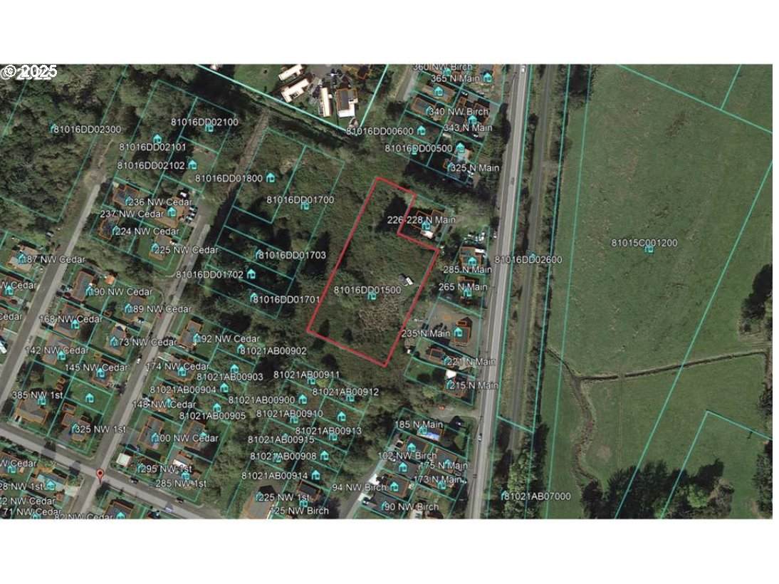 0 Birch Ave - Photo 1