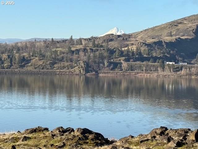 https://bt-photos.global.ssl.fastly.net/portland/orig_boomver_1_676307820-2.jpg
