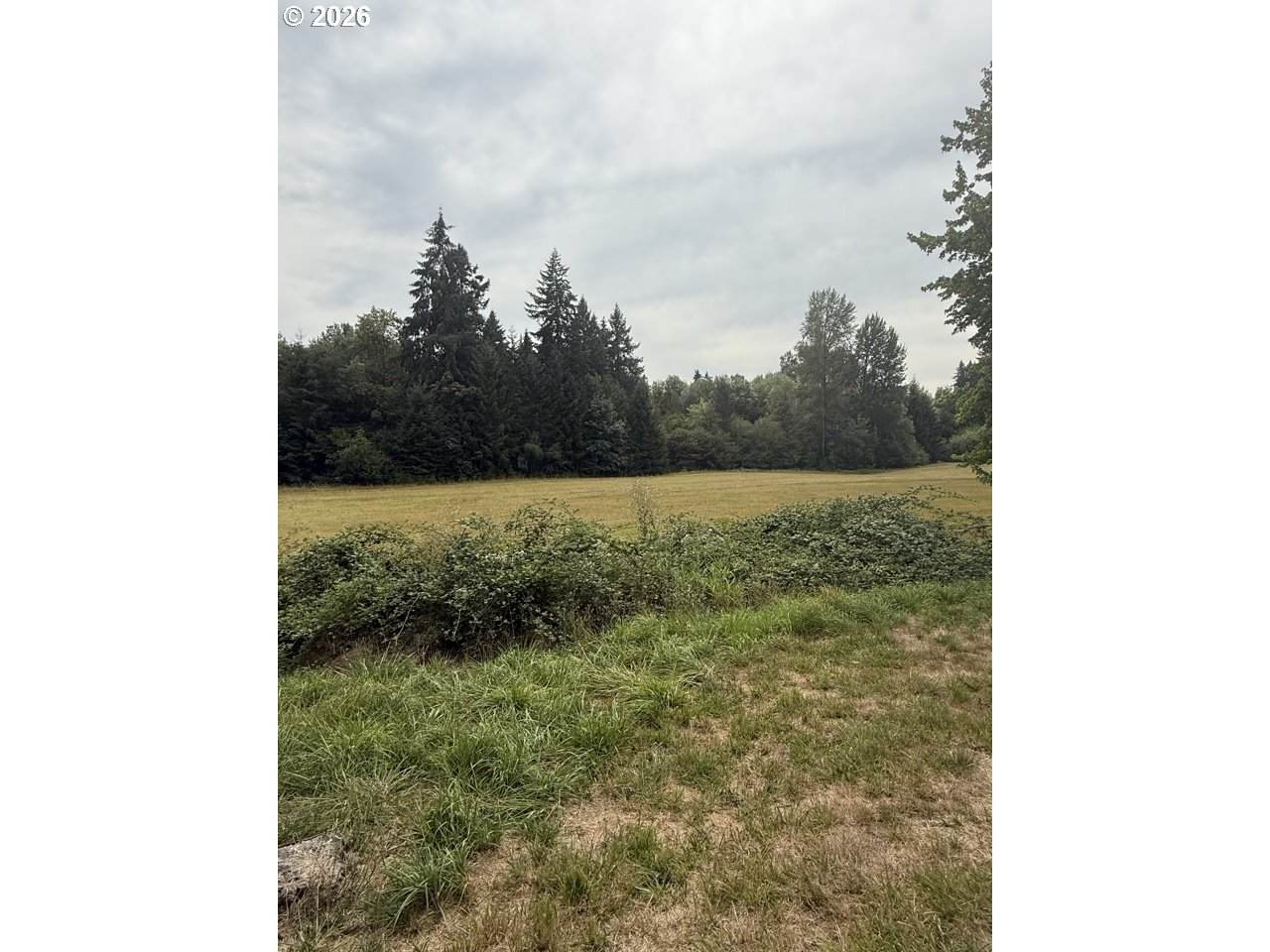 https://bt-photos.global.ssl.fastly.net/portland/orig_boomver_1_676891694-2.jpg