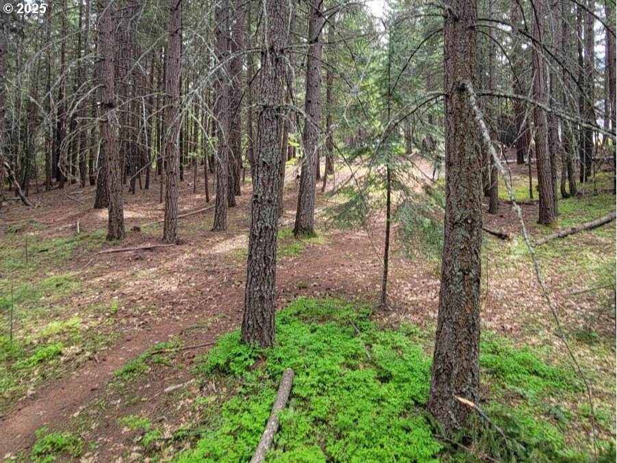 17 Canyon Loop Rd - Photo 1