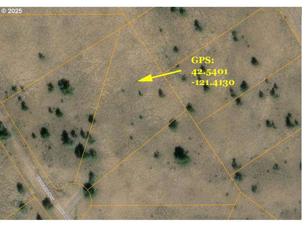  Wildpine Way - Photo 1