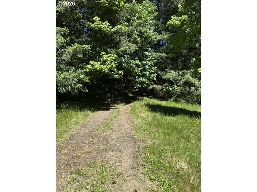 89366 Nelson Mountain Rd - Photo 1