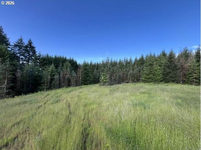 https://bt-photos.global.ssl.fastly.net/portland/orig_boomver_1_703006363-2.jpg