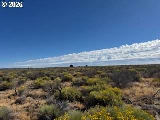  Stagecoach Ln - Photo 1