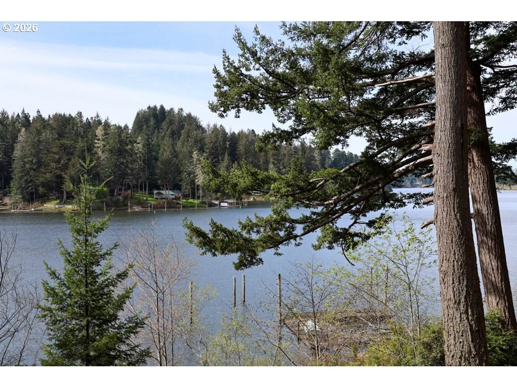 71350 Sunny Cove Rd - Photo 1