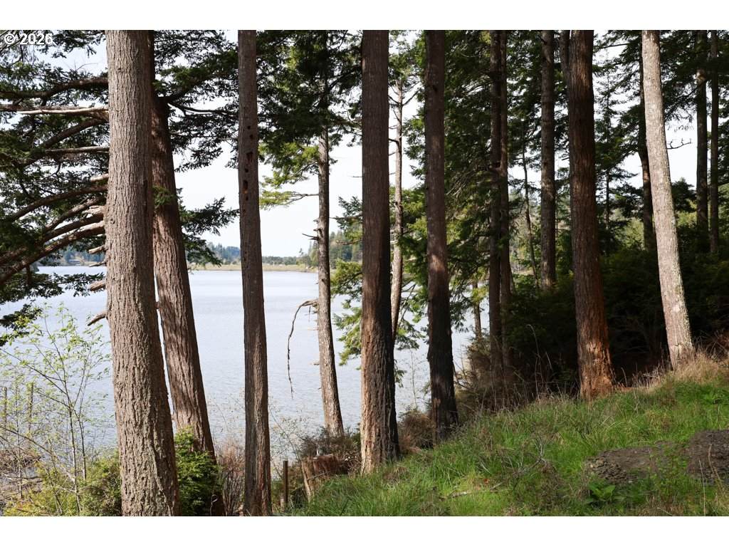 https://bt-photos.global.ssl.fastly.net/portland/orig_boomver_1_719694718-2.jpg