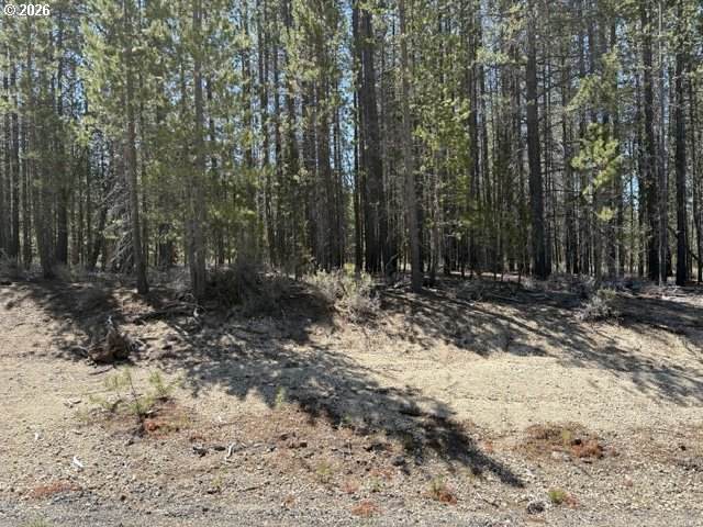 27 Surveyor Rd - Photo 1