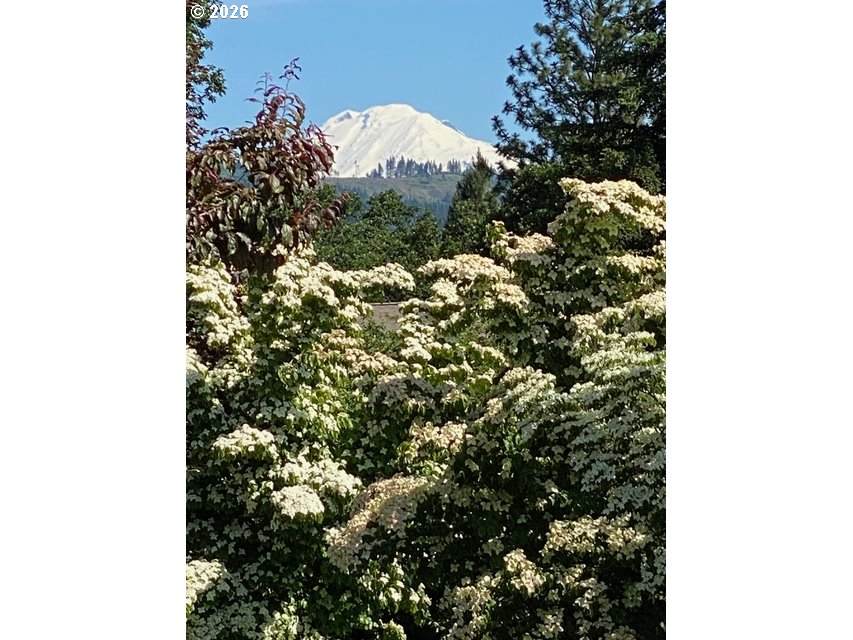 https://bt-photos.global.ssl.fastly.net/portland/orig_boomver_1_727851053-2.jpg