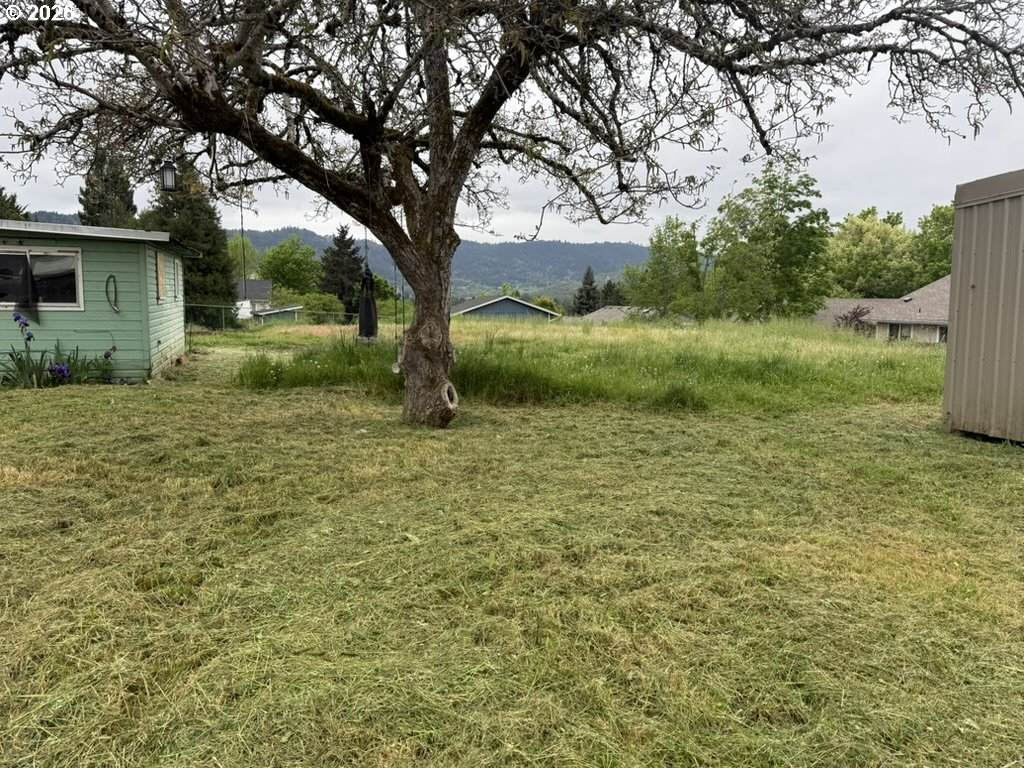https://bt-photos.global.ssl.fastly.net/portland/orig_boomver_1_734313007-2.jpg