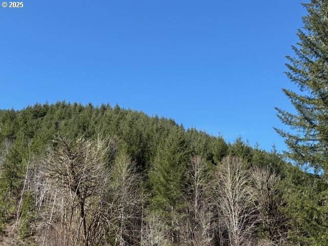 https://bt-photos.global.ssl.fastly.net/portland/orig_boomver_1_754938611-2.jpg