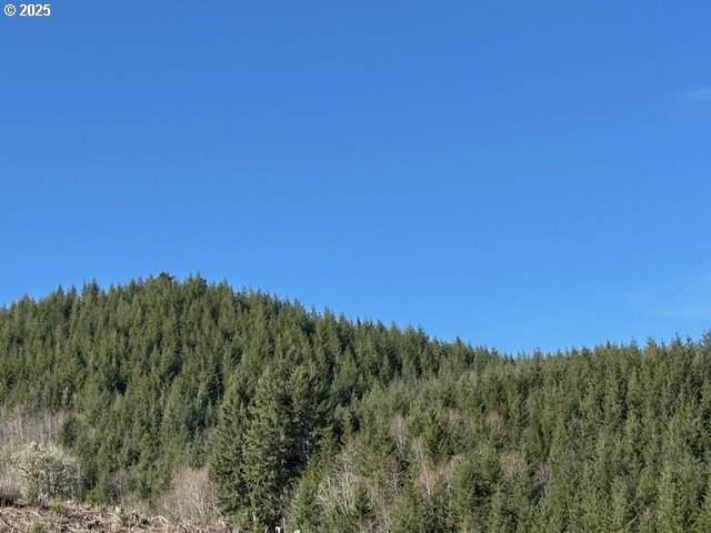 https://bt-photos.global.ssl.fastly.net/portland/orig_boomver_1_754938611-2.jpg