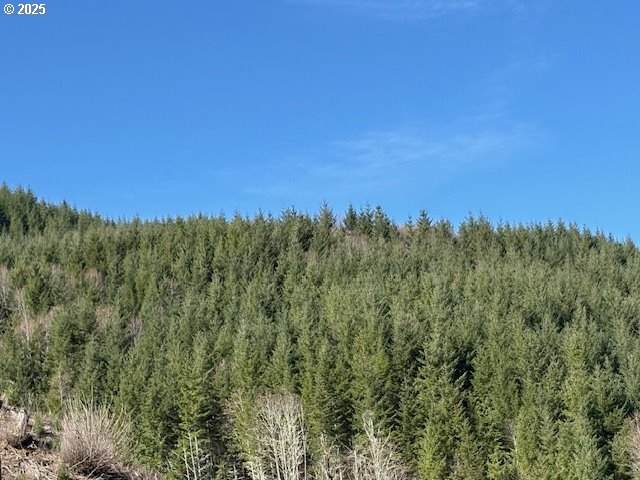 https://bt-photos.global.ssl.fastly.net/portland/orig_boomver_1_754938611-2.jpg