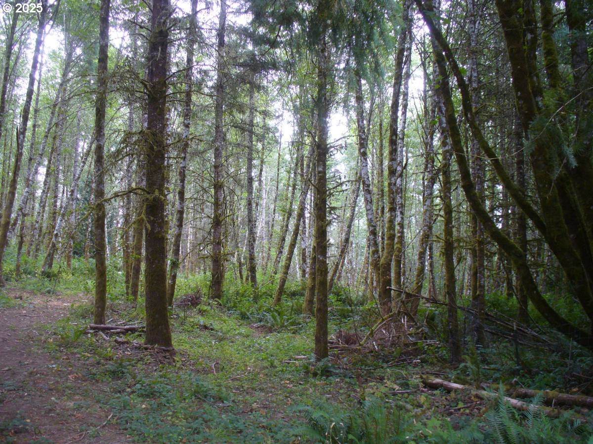 https://bt-photos.global.ssl.fastly.net/portland/orig_boomver_1_778029075-2.jpg
