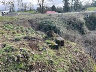 https://bt-photos.global.ssl.fastly.net/portland/orig_boomver_1_778829171-2.jpg