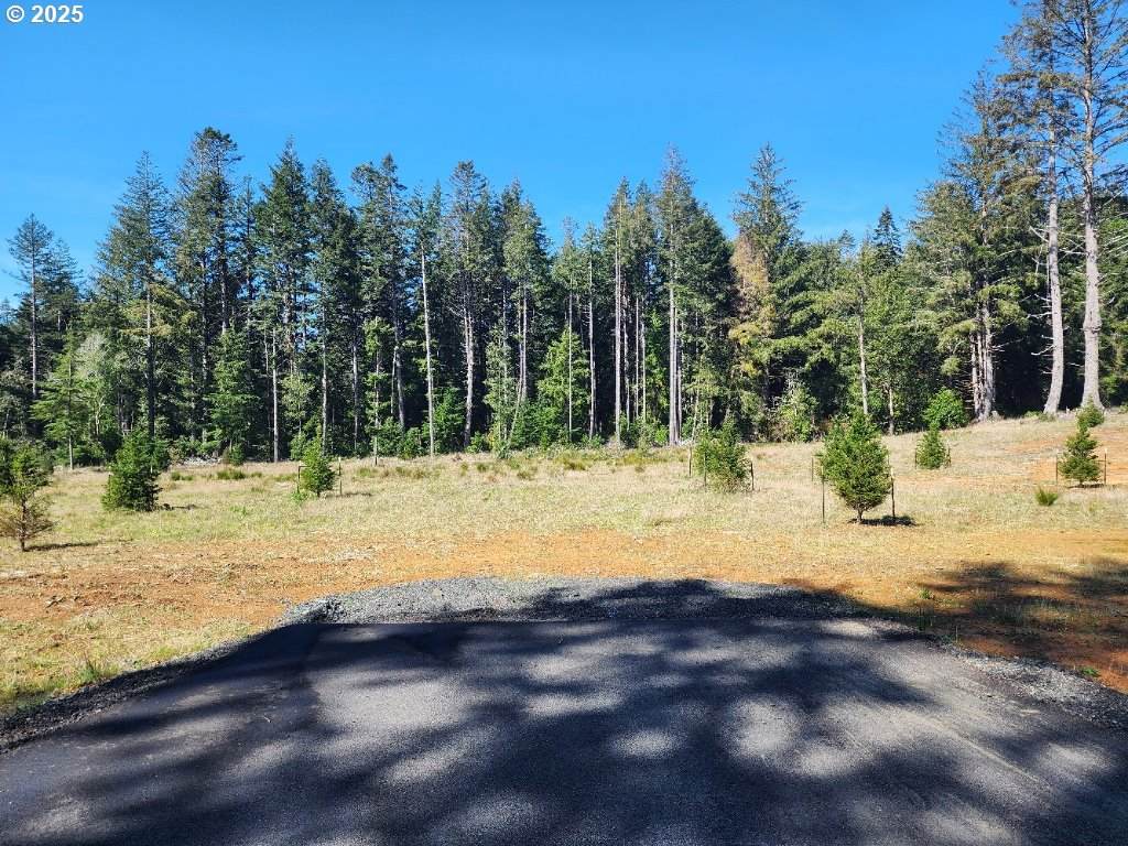  Hubbard Ln - Photo 1