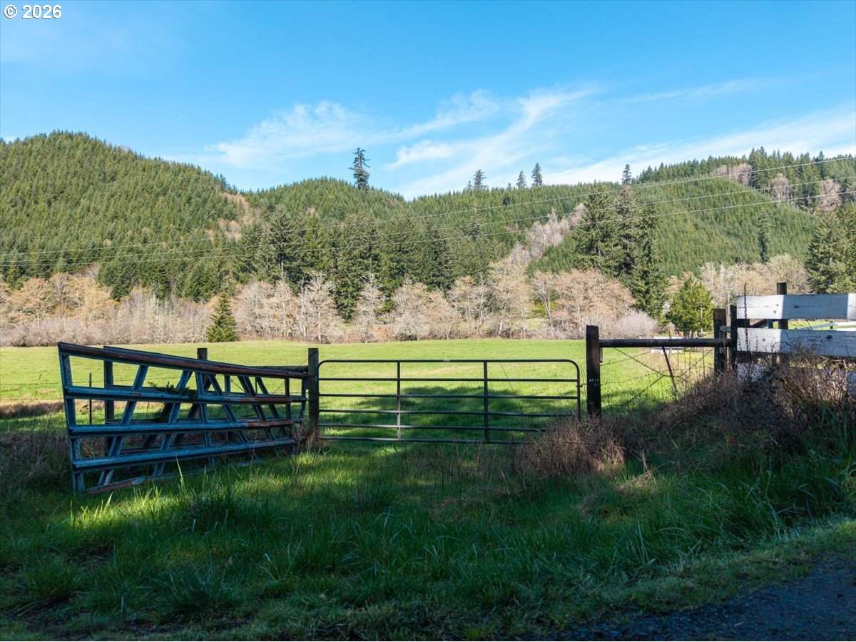 https://bt-photos.global.ssl.fastly.net/portland/orig_boomver_1_783943651-2.jpg