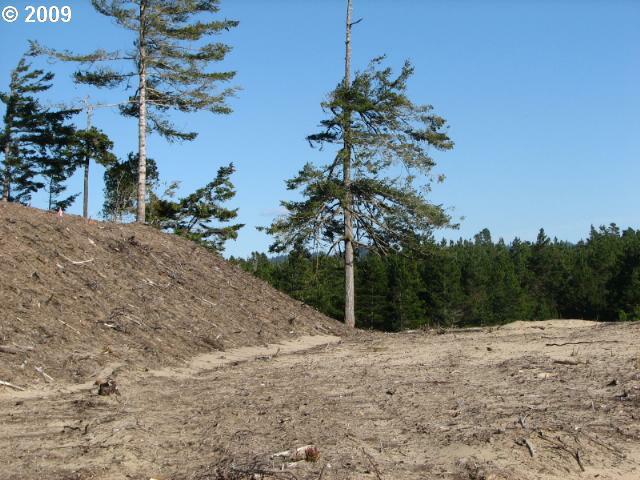 Lake Point Dr - Photo 1