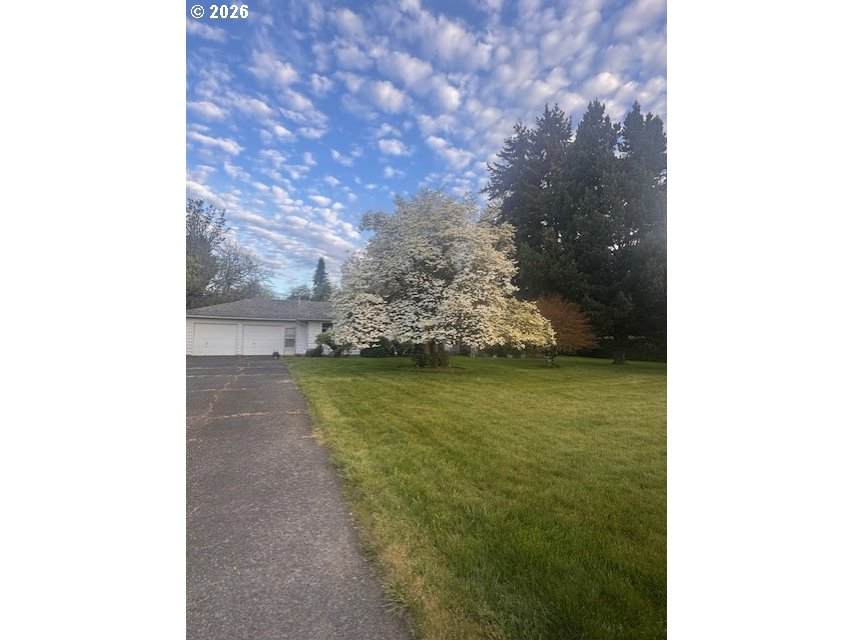 https://bt-photos.global.ssl.fastly.net/portland/orig_boomver_2_136151767-2.jpg