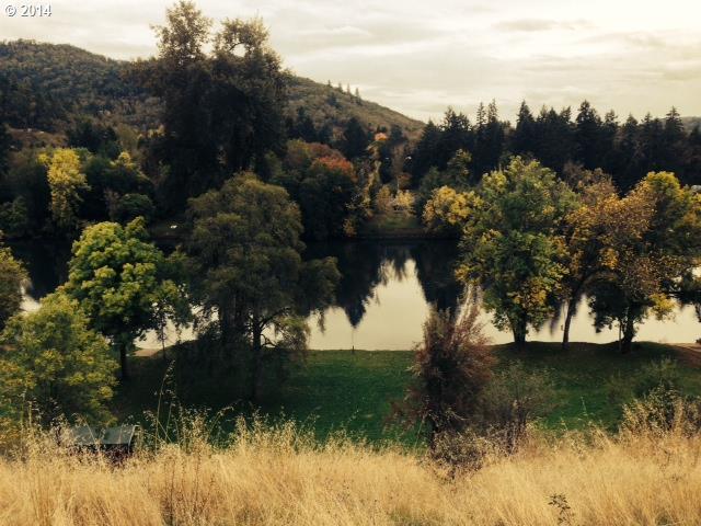 0 Umpqua College Rd - Photo 1