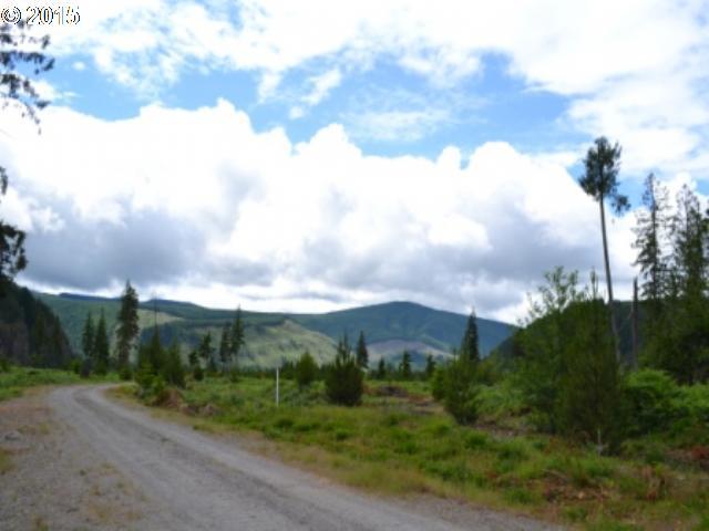 Bigfoot Dr - Photo 1