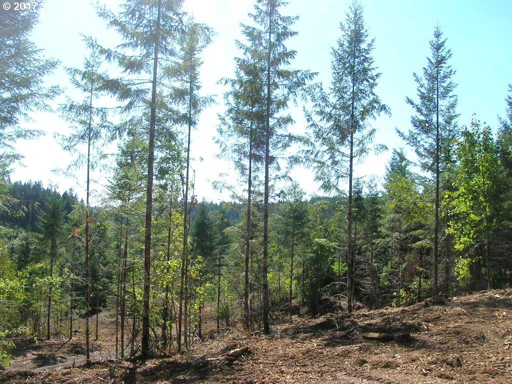Pioneer Rd - Photo 1