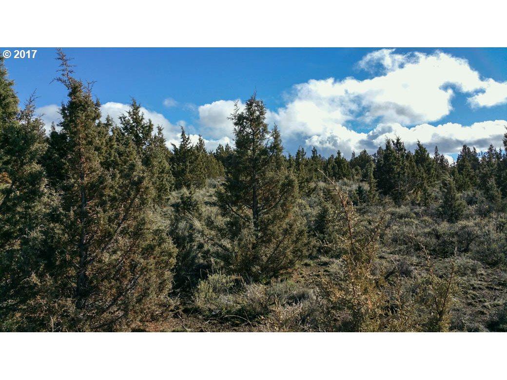 13301 Ethan Loop - Photo 1