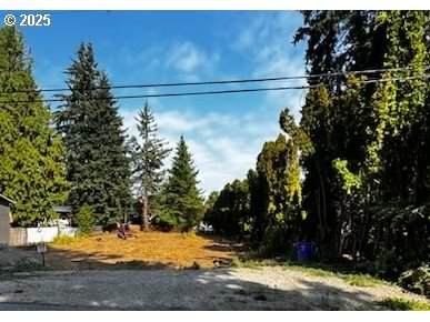 16651 Wasco St - Photo 1