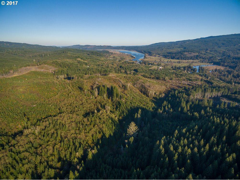 Dell Creek Rd - Photo 1