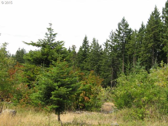 Canyon Rd - Photo 1