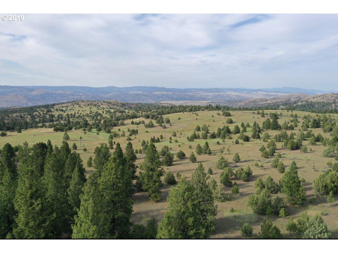 24616 Laycock Creek Rd - Photo 1