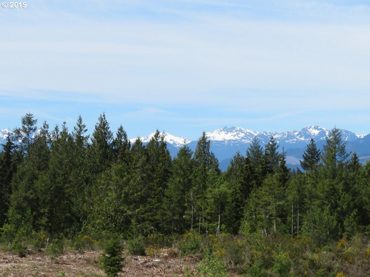 Wayne Rd - Photo 1