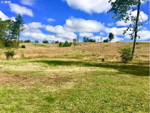 33701 Highway 211 - Photo 1