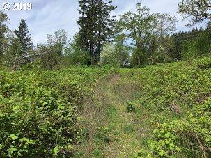 Ryan-Allen Rd - Photo 1