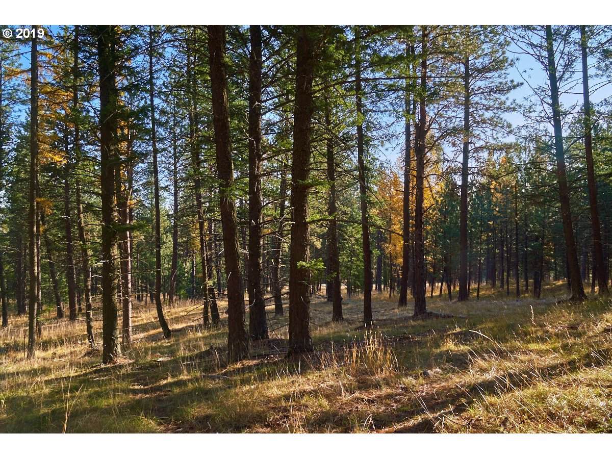 0 Scotch Creek Rd - Photo 1