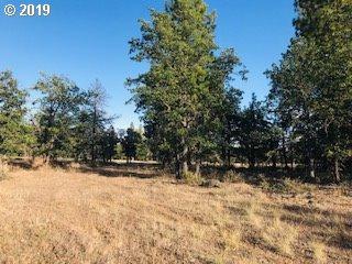 Lot 116 Juniper - Photo 1