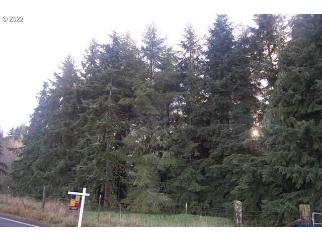 0 Crooked Finger Rd - Photo 1