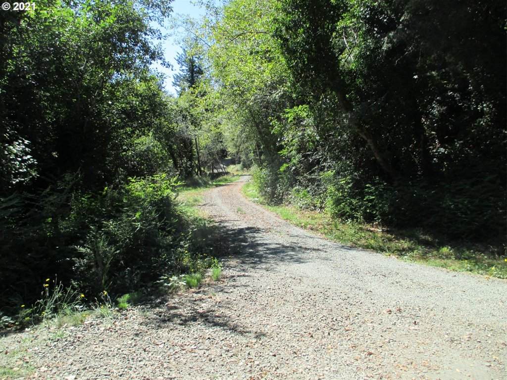 56020 Spring Creek Rd - Photo 1