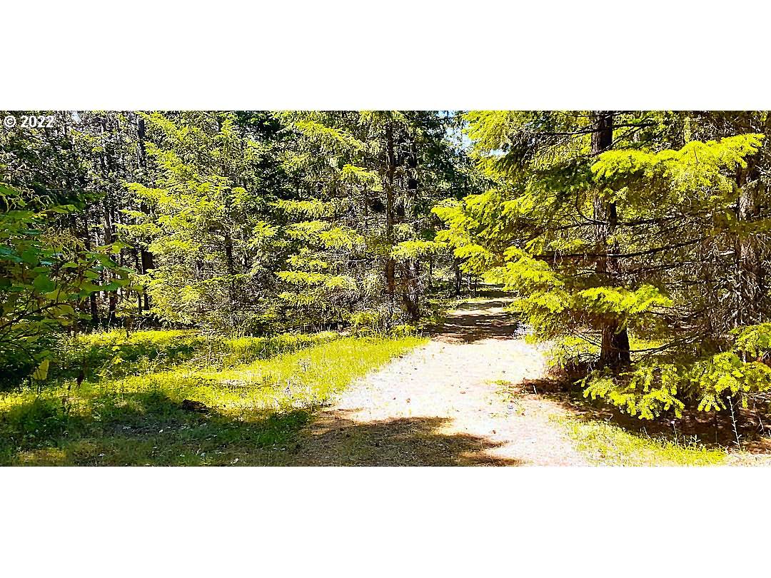 0 Dry Creek Rd - Photo 1