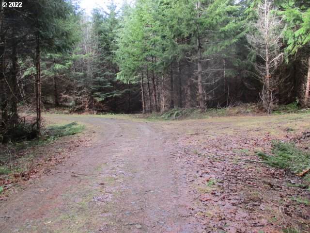 0 Gheen (View) Rd - Photo 1
