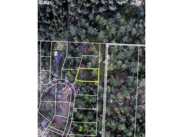 2627 Cupola Dr - Photo 1