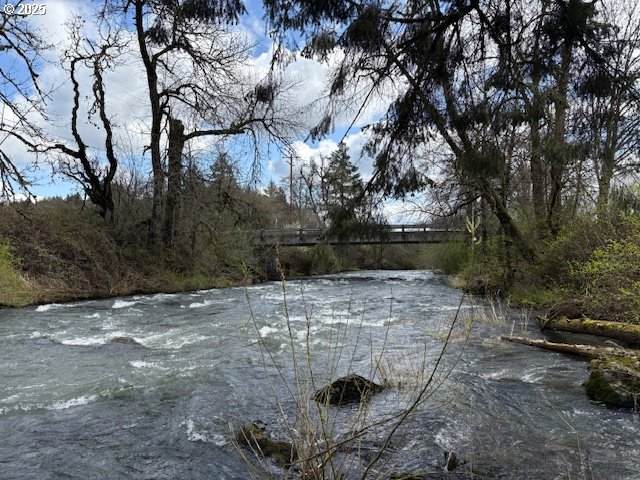 https://bt-photos.global.ssl.fastly.net/portland/orig_boomver_2_257441062-2.jpg